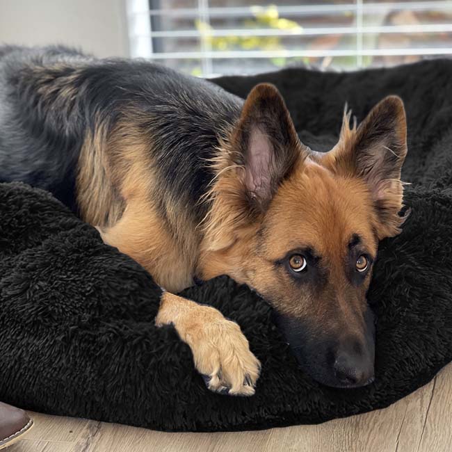 BRÉMIS Deep Sleep Pet Bed