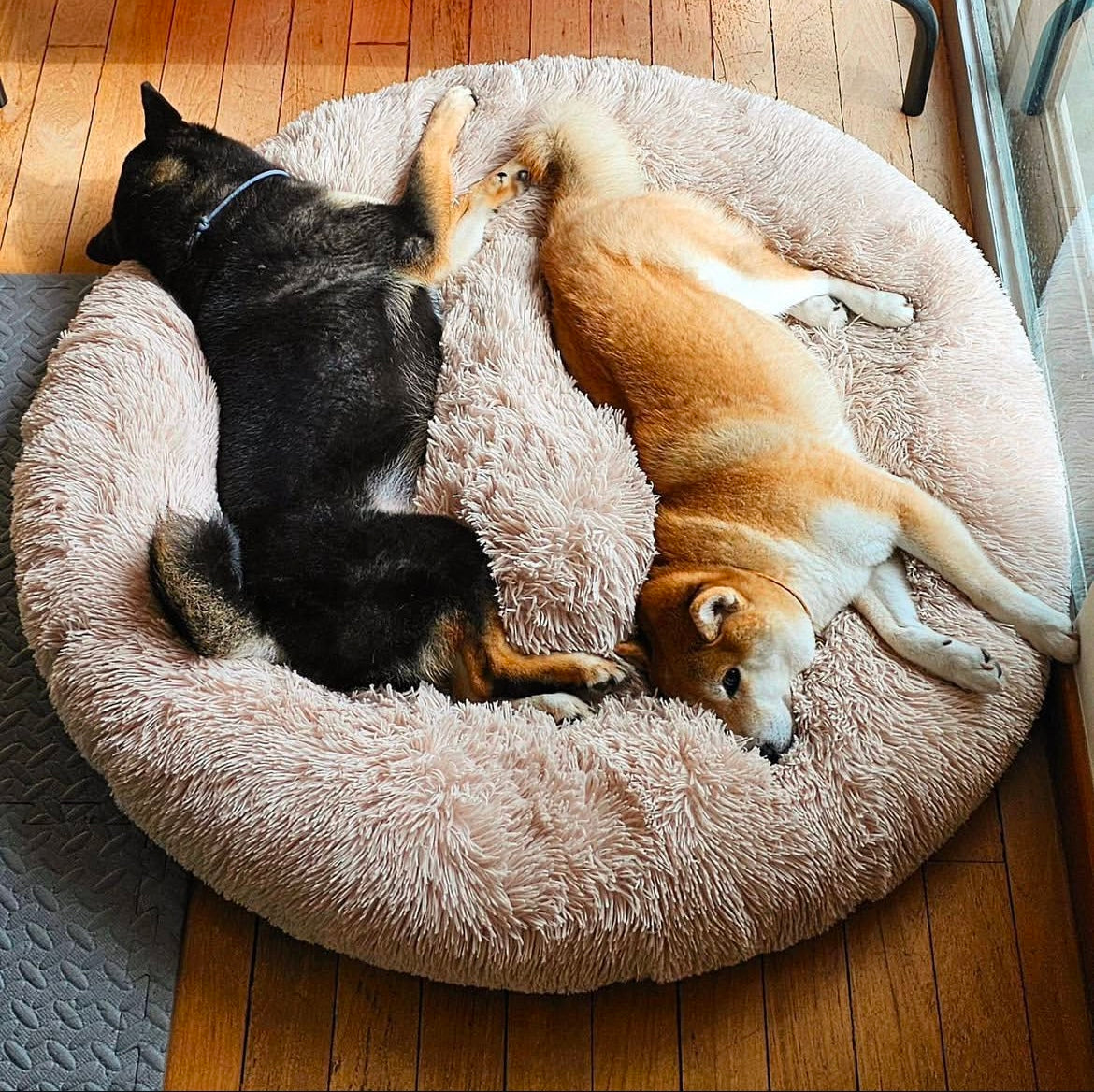 BRÉMIS LUSH™ Calming Bed