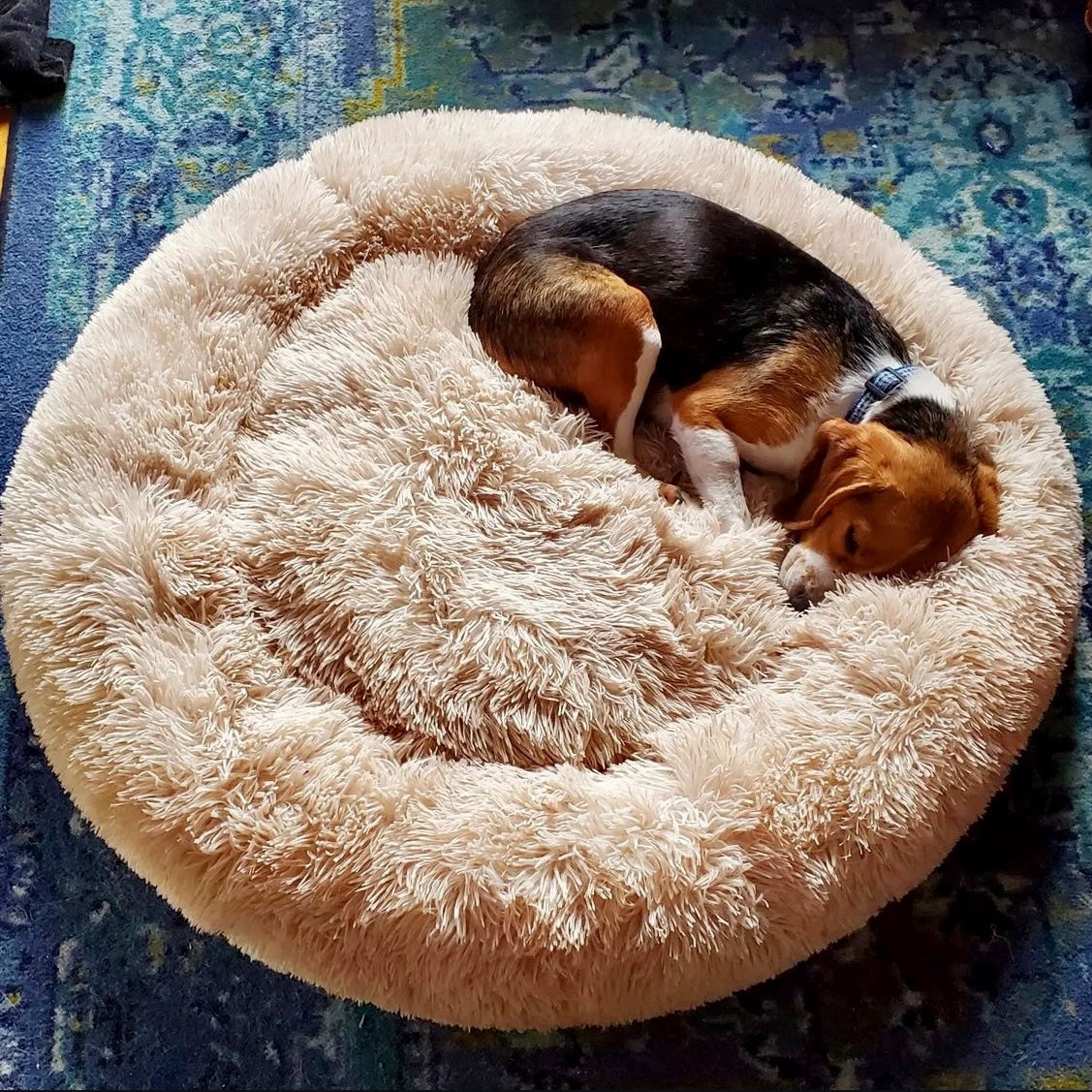 BRÉMIS LUSH™ Calming Bed