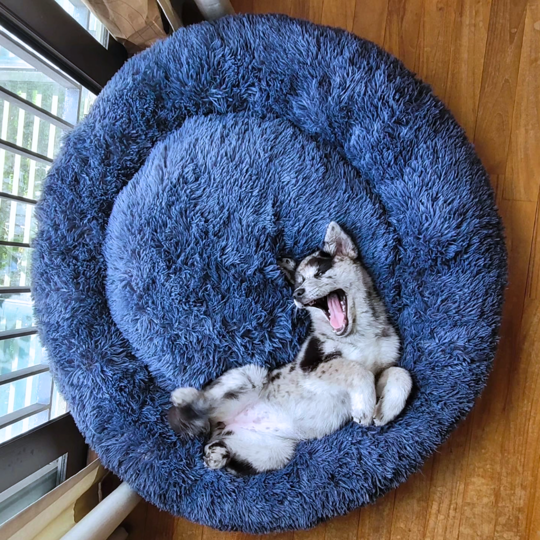 BRÉMIS LUSH™ Calming Bed