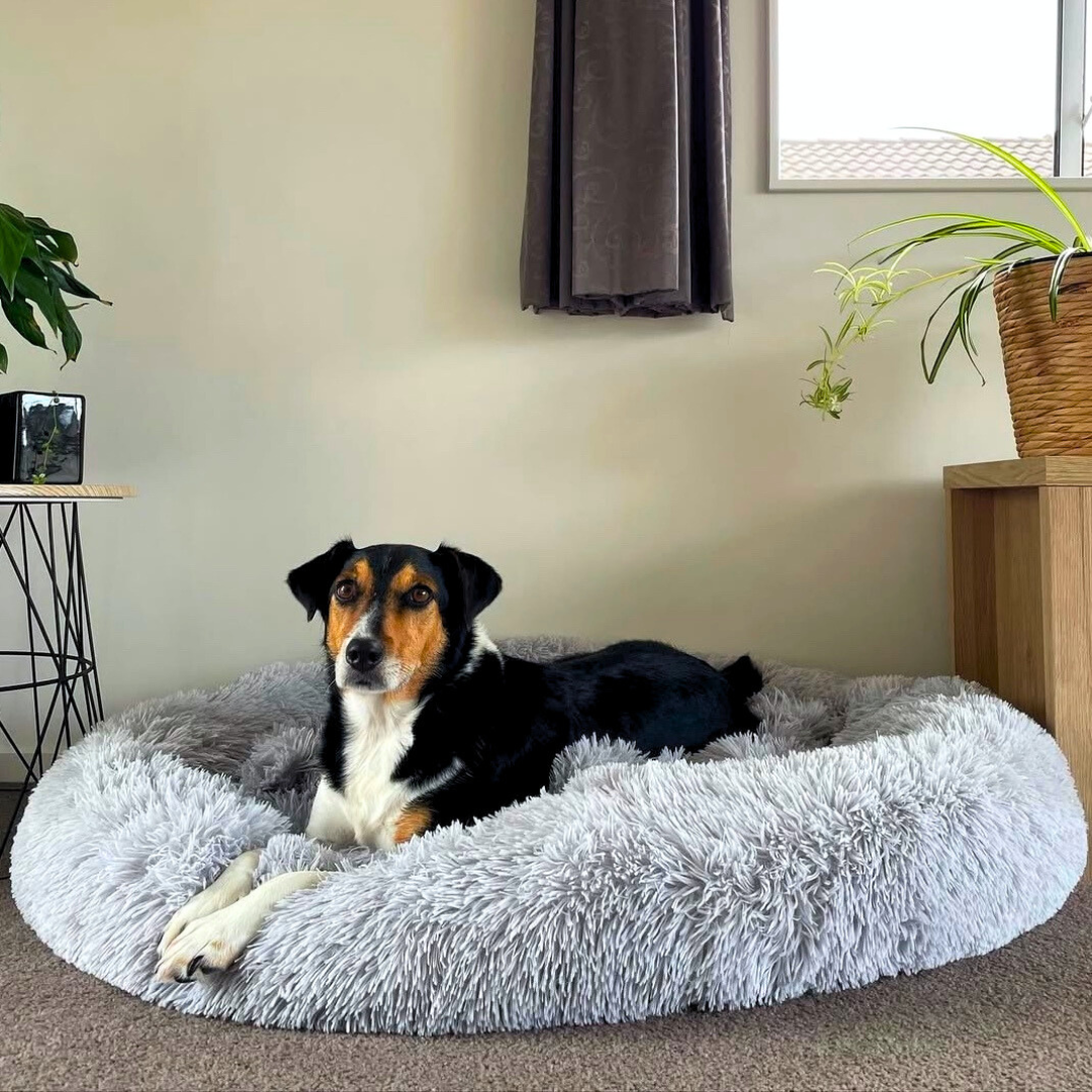 BRÉMIS LUSH™ Calming Bed