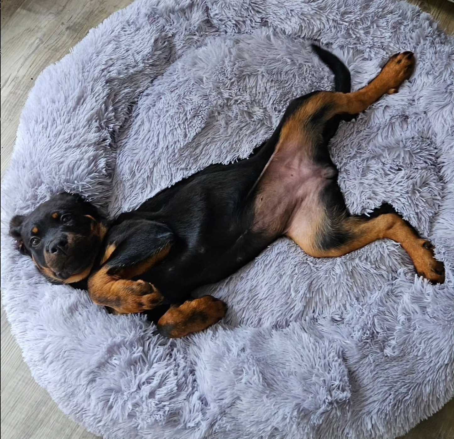 BRÉMIS XXL Pet Bed 1.1m