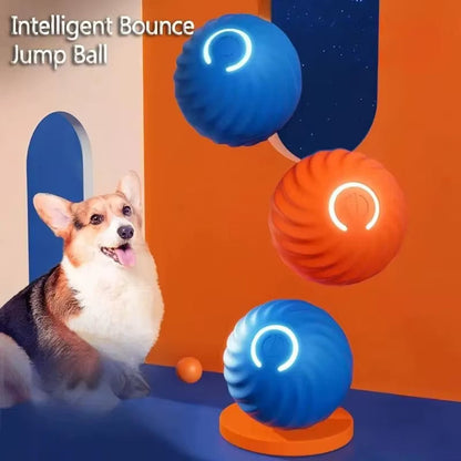 BRÉMIS SmartBounce™ Ball Dog Toy