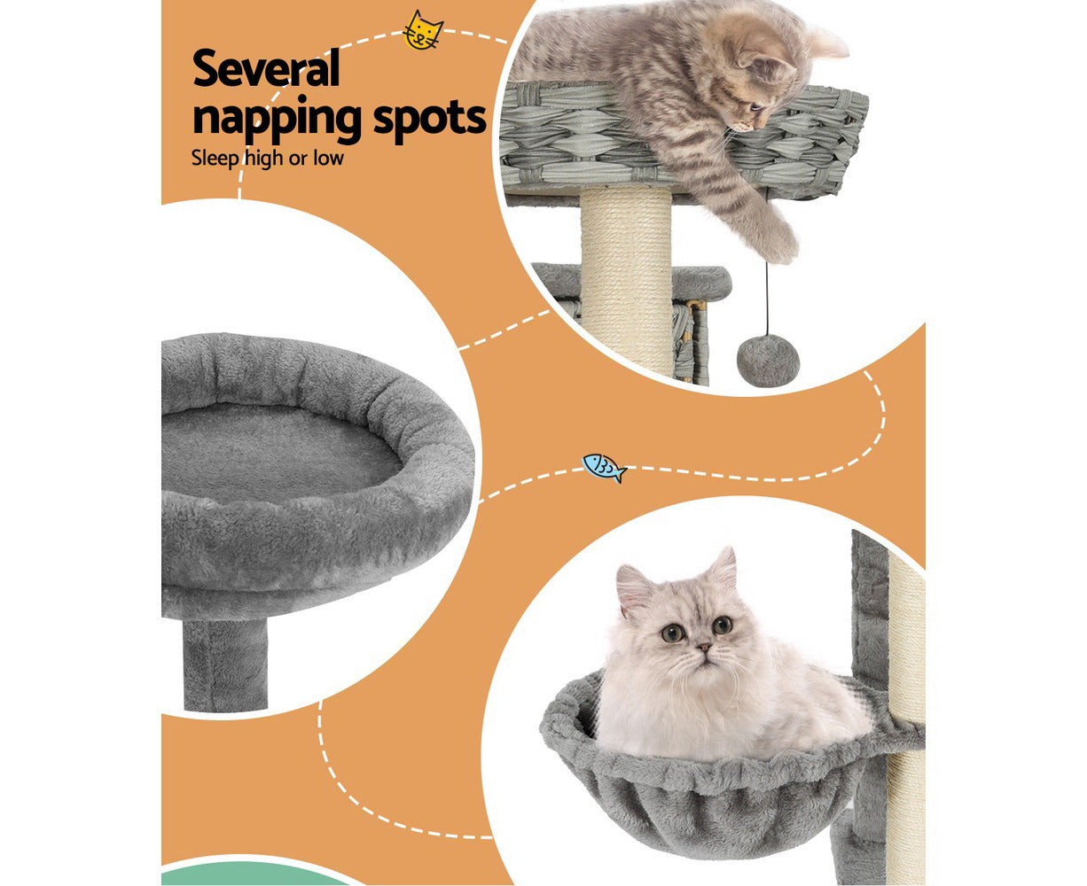 169cm Multi-Room Cat Tree with Rattan Ladder