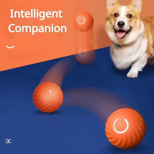 BRÉMIS SmartBounce™ Ball Dog Toy