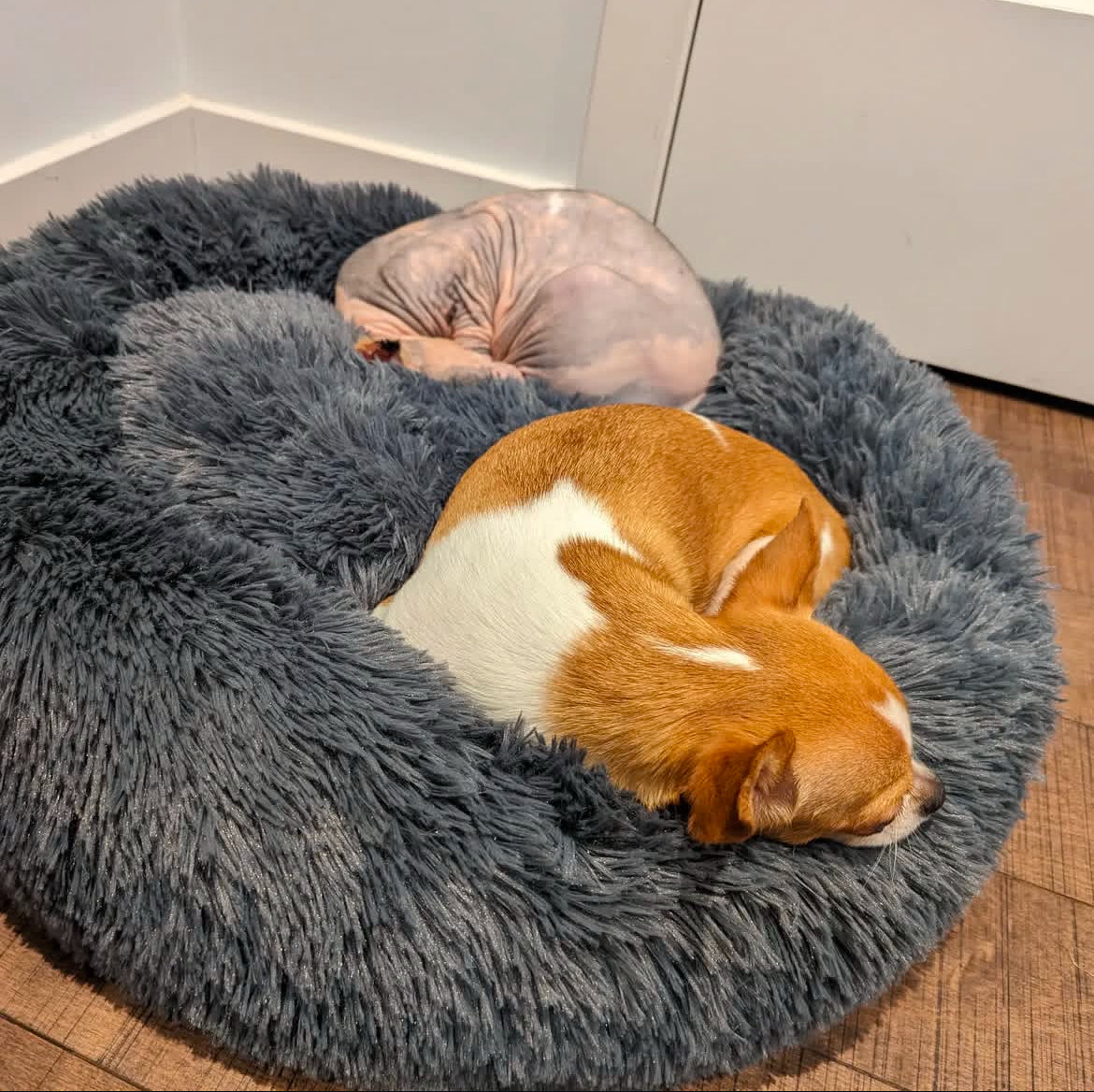 BRÉMIS Deep Sleep Pet Bed